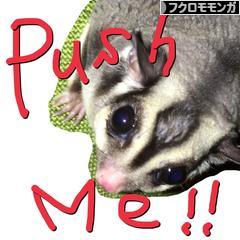 にほんブログ村 小動物ブログ フクロモモンガへ