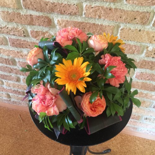 F64F85E2-B7BA-4091-8F19-1900FE820DEF