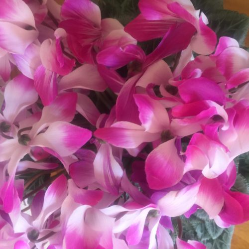 C183148B-A1AB-444B-900F-0DD713EFD74C