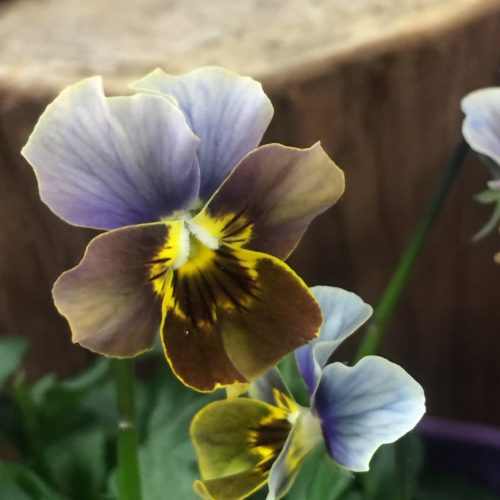 136B6E48-A279-485C-BE71-D6E440D401C5