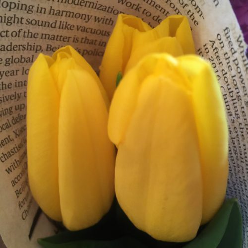 1AEB36D2-647F-4779-9C1D-6D1E058867DB