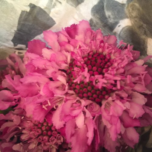 5EE728B3-77C9-4FB4-812C-53D183916B68