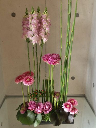 06D2839E-ECFF-4194-A647-DC56FB4D6924