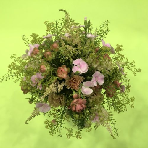 E6CD06A3-2C13-4704-BF0E-7DA6BB1151DD