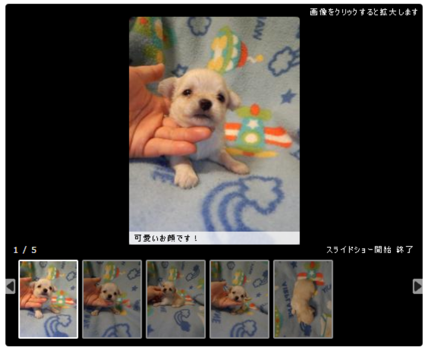 ペットが幸せになる方法
