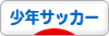 にほんブログ村 サッカーブログ 少年サッカーへ