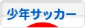 にほんブログ村 サッカーブログ 少年サッカーへ