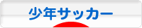 にほんブログ村 サッカーブログ 少年サッカーへ