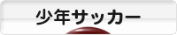 にほんブログ村 サッカーブログ 少年サッカーへ