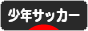 にほんブログ村 サッカーブログ 少年サッカーへ