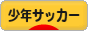 にほんブログ村 サッカーブログ 少年サッカーへ