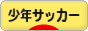 にほんブログ村 サッカーブログ 少年サッカーへ