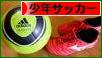 にほんブログ村 サッカーブログ 少年サッカーへ
