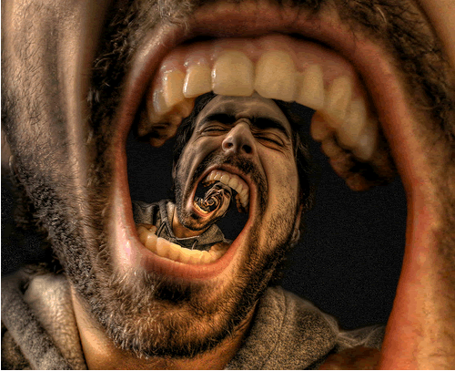 Amazing Examples of Conformal Photography