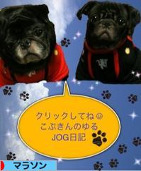 にほんブログ村 その他スポーツブログ マラソンへ