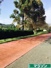 にほんブログ村 その他スポーツブログ マラソンへ