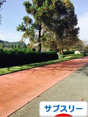 にほんブログ村 その他スポーツブログ マラソン（サブスリー）へ