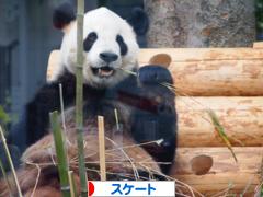 にほんブログ村 その他スポーツブログ スケートへ