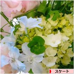 にほんブログ村 その他スポーツブログ スケート・フィギュアスケートへ