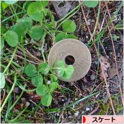 にほんブログ村 その他スポーツブログ スケート・フィギュアスケートへ