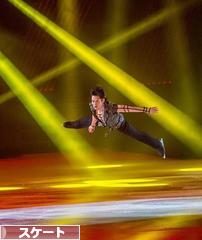 にほんブログ村 その他スポーツブログ スケート・フィギュアスケートへ