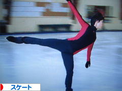 にほんブログ村 その他スポーツブログ スケート・フィギュアスケートへ