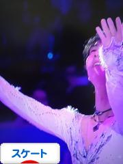 にほんブログ村 その他スポーツブログ スケート・フィギュアスケートへ