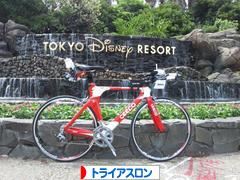 にほんブログ村 その他スポーツブログ トライアスロンへ