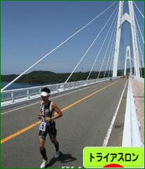 にほんブログ村 その他スポーツブログ トライアスロンへ
