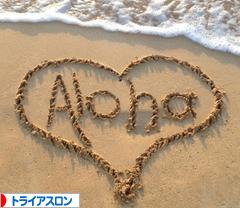 にほんブログ村 その他スポーツブログ トライアスロンへ