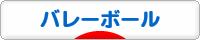 にほんブログ村 その他スポーツブログ バレーボールへ