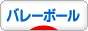 にほんブログ村 その他スポーツブログ バレーボールへ