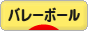 にほんブログ村 その他スポーツブログ バレーボールへ