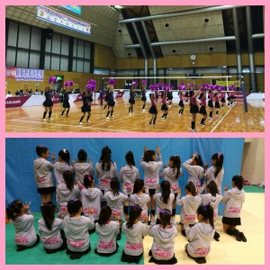 Processed with MOLDIV