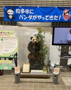 ぱんだ