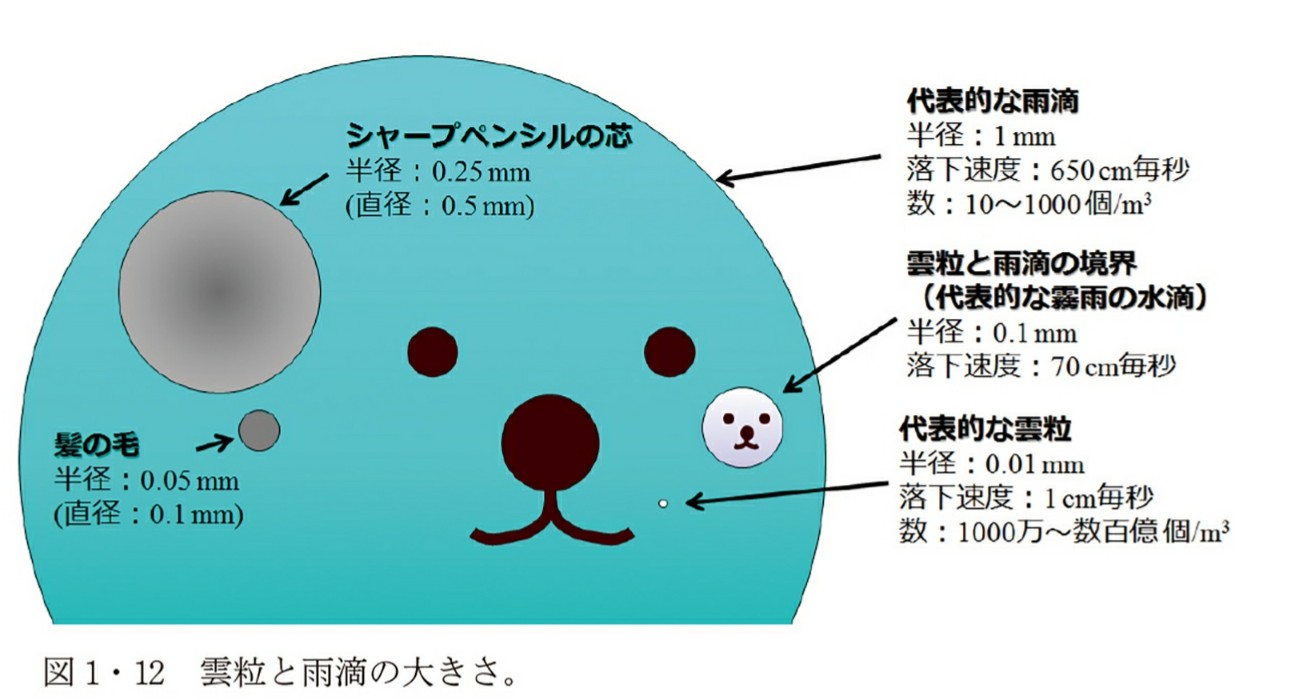 雲のでき方 でーこんのあちこちコラム