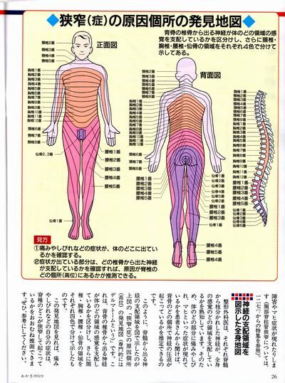 ギックリ腰　姿勢の矯正　腰痛　肩こり/　痛みと疲労を解消する＠｢大船駅」南口徒歩7分の漢方経絡整体院