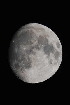 Dsc_5099us2_0m0_5080912