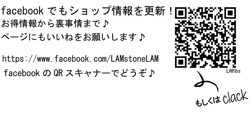 フェイスブック