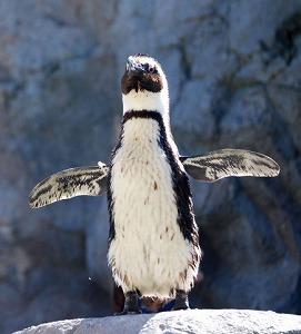 もう1度行きたい！ 最強の水族館ランキング