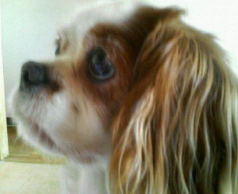 エミココ  Emi's Hou...さん