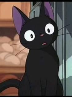 みぃたんとにんじゃたなかーずさん