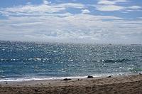 マージャン大好きさん