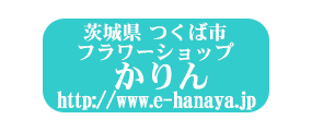 茨城県つくば市 花屋 配達 宅配ﾌﾗﾜｰｼｮｯﾌﾟ茨城県TsukubaFlowerShopHanayaIbaraki