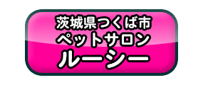 茨城県つくば市ﾍﾟｯﾄｻﾛﾝ茨城つくばﾄﾘﾐﾝｸﾞ ｶｯﾄ ｼｬﾝﾌﾟｰ ﾄﾞｯｸﾞｻﾛﾝ犬専門 美容室ﾍﾟｯﾄ ﾎﾃﾙ茨城県つくば市