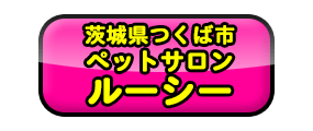 ﾍﾟｯﾄｼｮｯﾌﾟ茨城つくばﾄﾘﾐﾝｸﾞ美容室ﾍﾟｯﾄｻﾛﾝ茨城県つくば市ｶｯﾄ ｼｬﾝﾌﾟｰ ﾍﾟｯﾄﾎﾃﾙ茨城つくば犬専門ﾄﾞｯｸﾞｻﾛﾝ