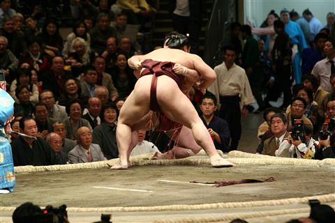 IMG_7667_R