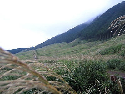 仙石原