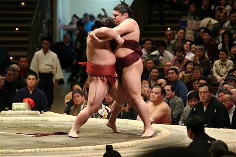 IMG_7655_R