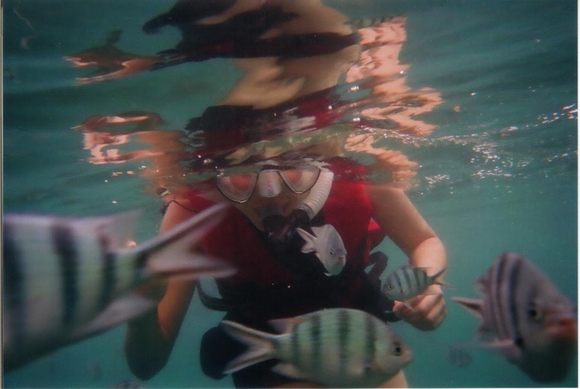 Online Backup Vs. Cloud Storage.